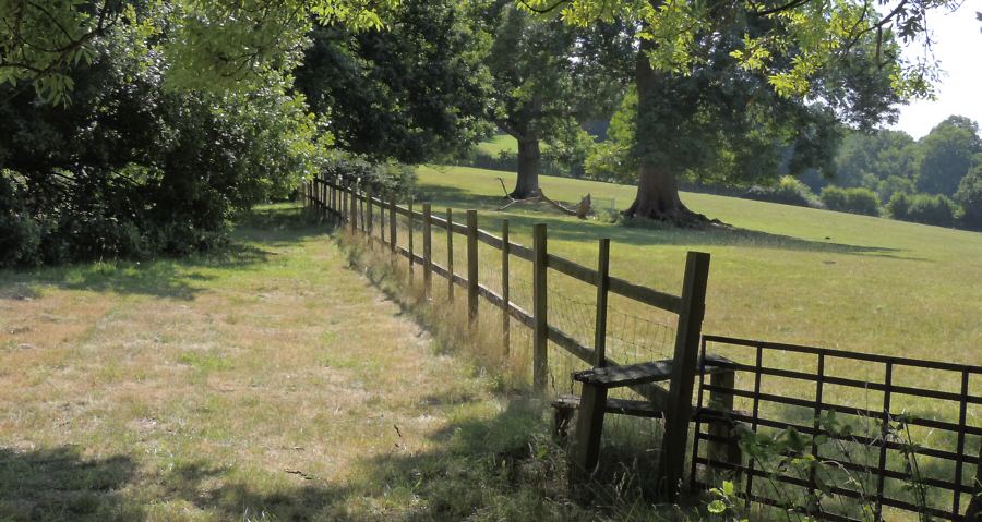 Finchcocks music museum and garden, Kent
